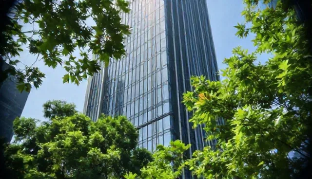 项目咨询中的适配方案：适用情况与限制分析